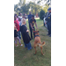 A young boy plays tug of war with the police dog