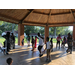 Young people dancing in the pavilion